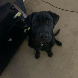 Meet your Posher, Jory